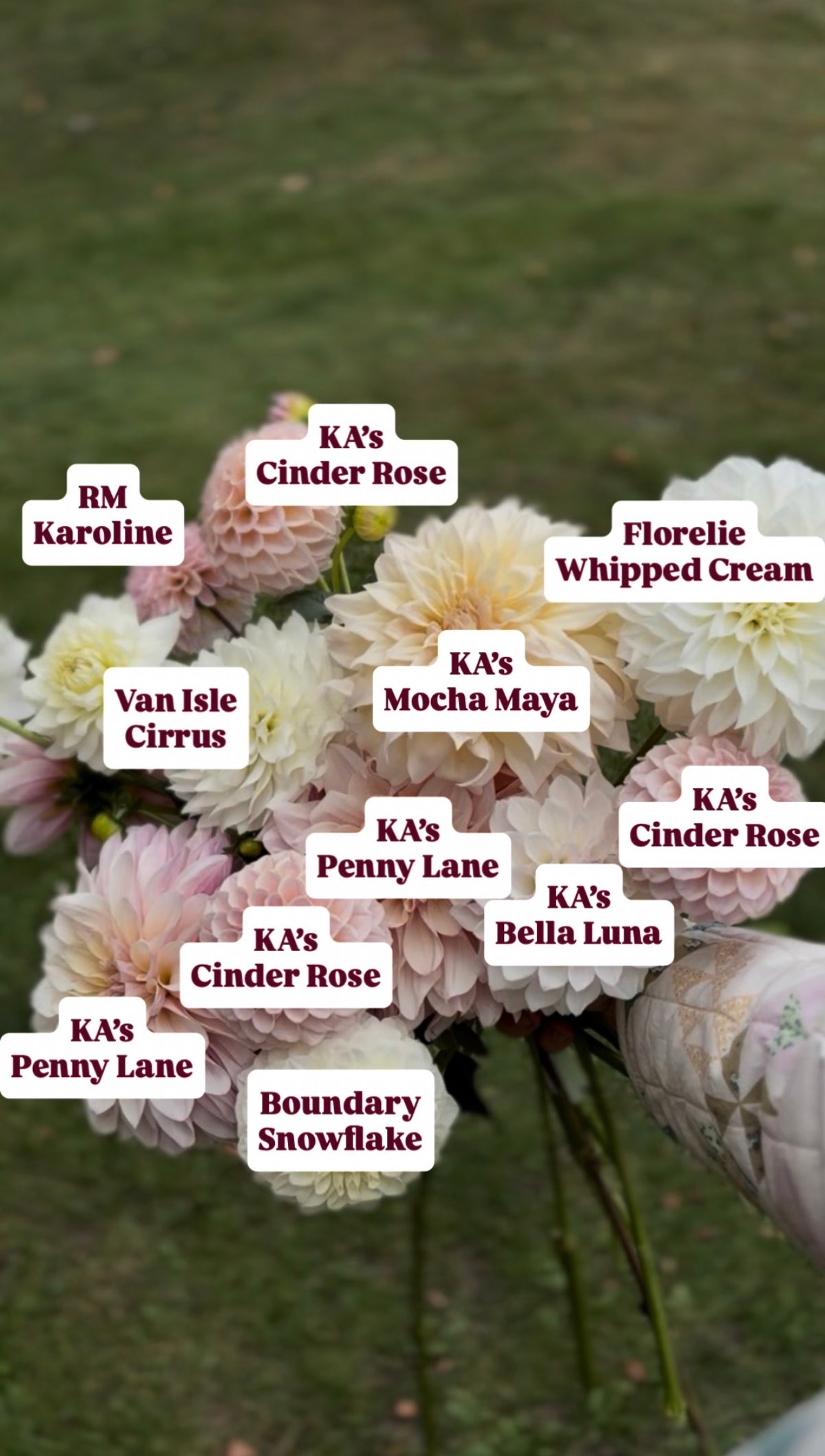 Bouquet Recipes | Preview