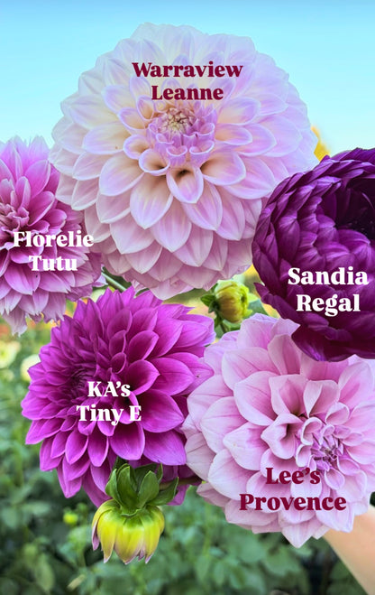 Bouquet Recipes | Preview