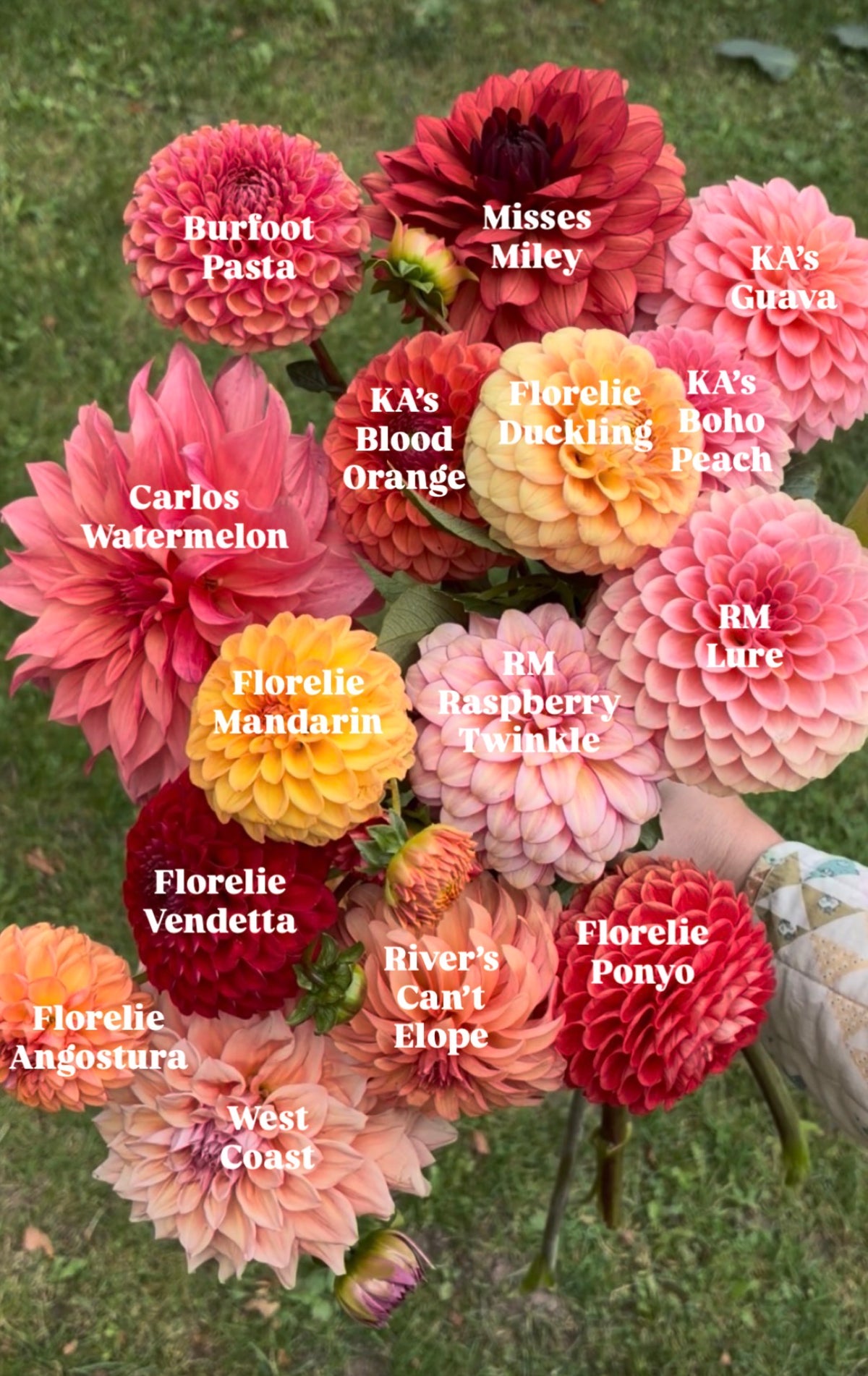 Bouquet Recipes | Preview