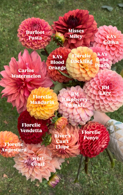 Bouquet Recipes | Preview