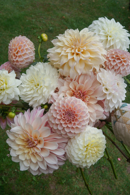 Bouquet Recipes | Preview