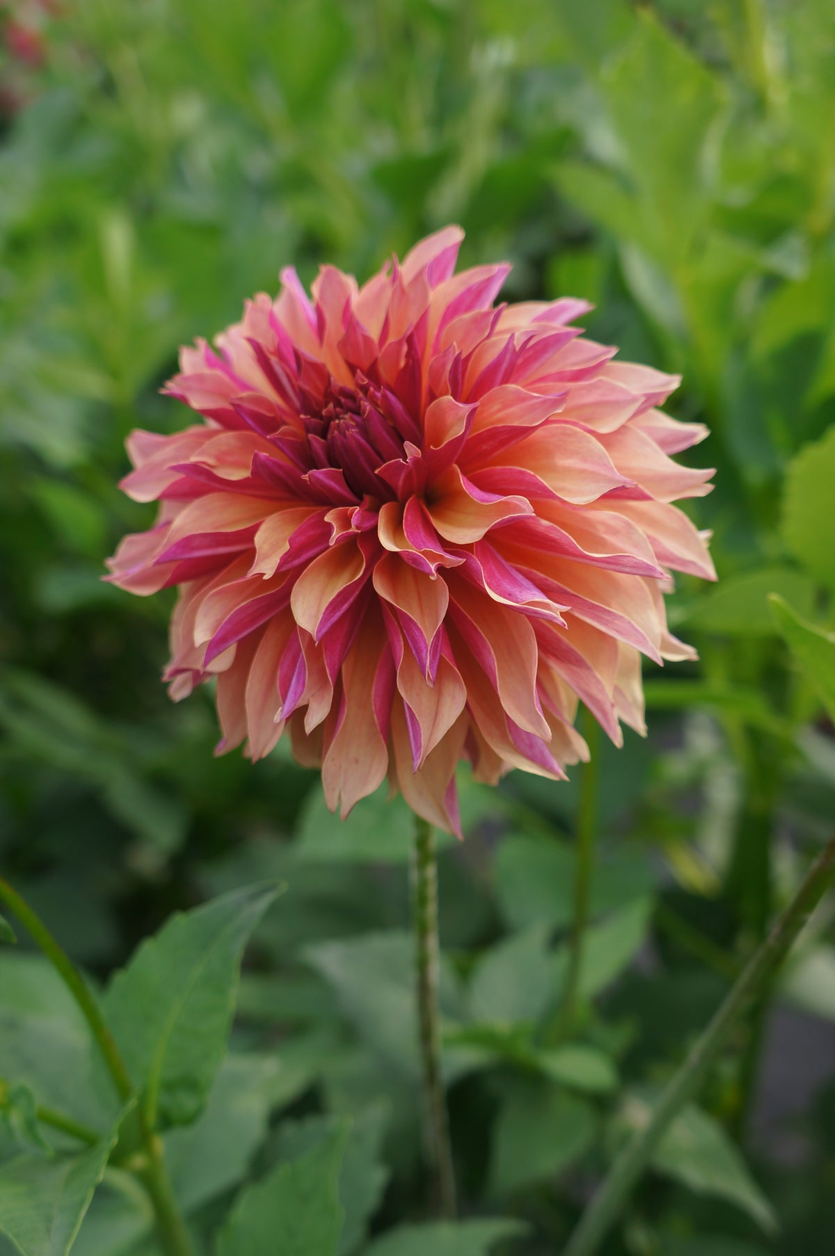 River's Elizabeth Tuber
